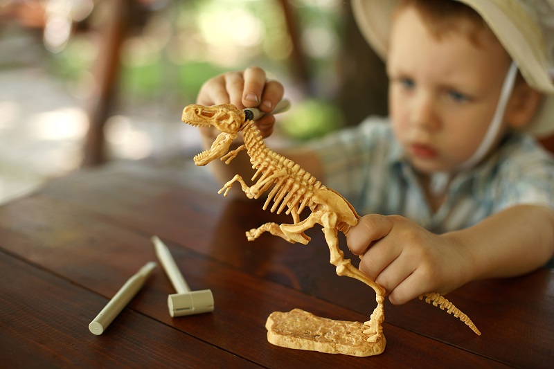 Dino Experience Park