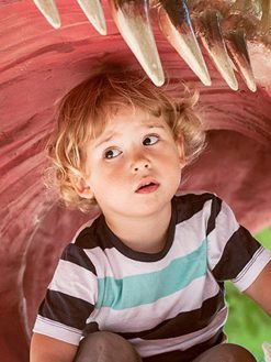 Dino kinderfeestje organiseren