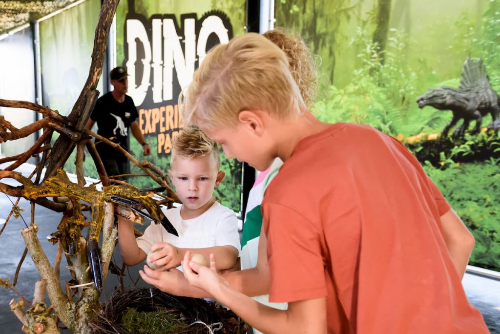 Dino Experience Park activiteiten