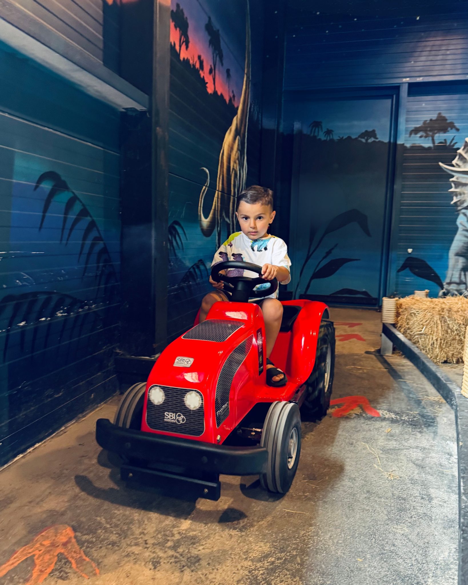 Cars Dino Speeltuin - Speelgoedset Voor Kinderen, Veilig Voor Binnenshuis Gebruik