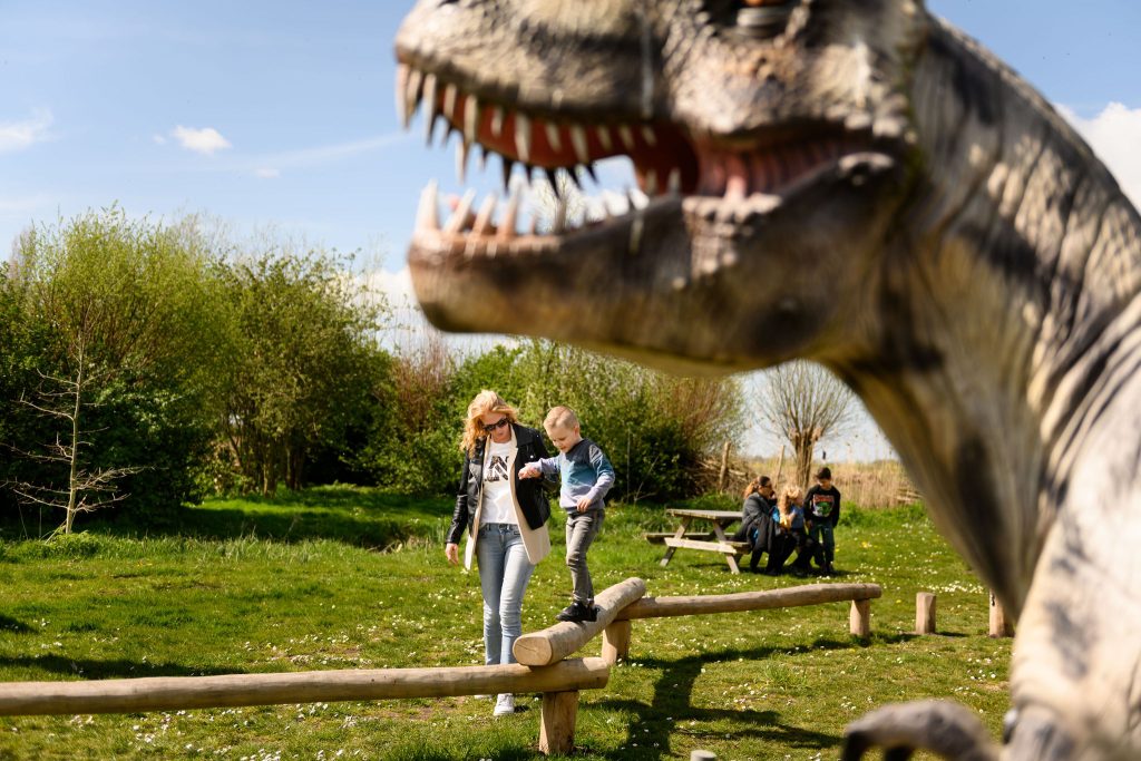 Evenwichtsparcours dino experience park