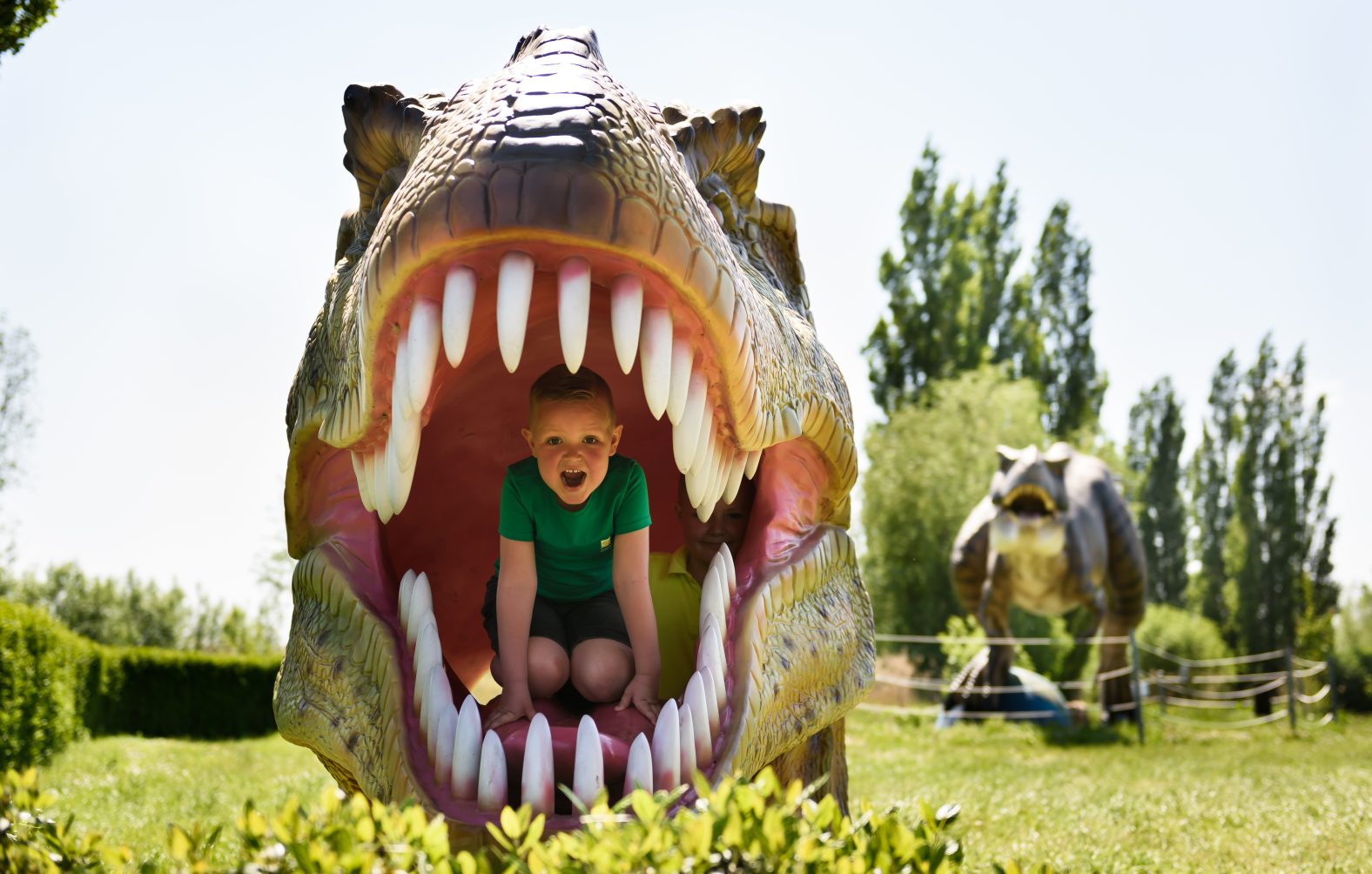 Dino parcours dino experience park